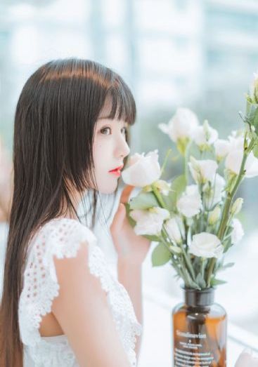 七仙女电视剧免费观看全集