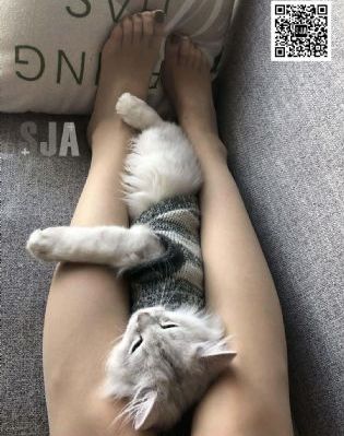 妈妈的朋友三级电影