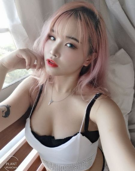 狐狸的春天电视剧全集免费