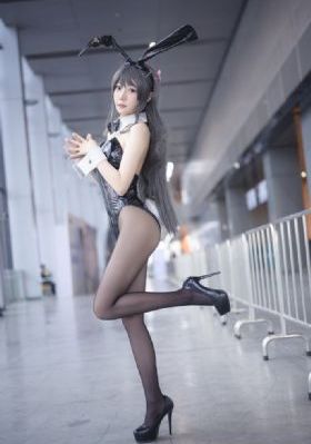 涛女郎电视剧免费全集